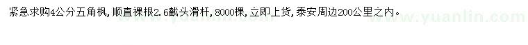 求購4公分五角楓