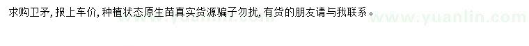 求購(gòu)衛(wèi)矛