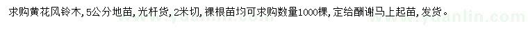 求購(gòu)5公分黃花風(fēng)鈴木