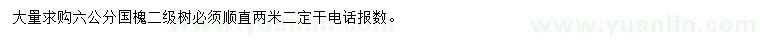 求購6公分國槐