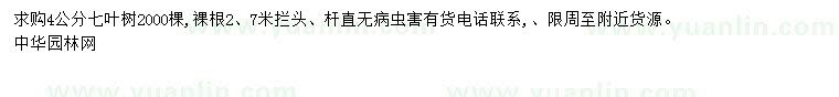 求購4公分七葉樹