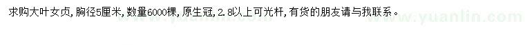 求購胸徑5公分大葉女貞