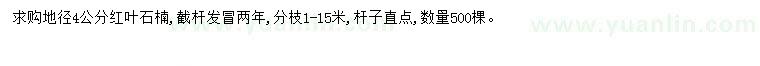 求購地徑4公分紅葉石楠