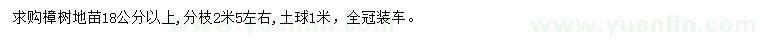 求購18公分以上樟樹