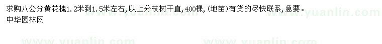 求購8公分黃花槐