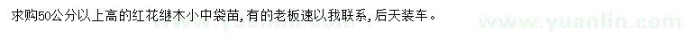 求購高50公分以上紅花繼木