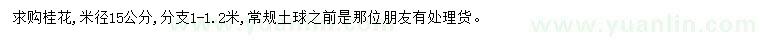 求購米徑15公分桂花