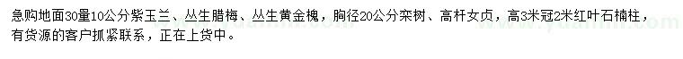 求購紫玉蘭、叢生臘梅、叢生黃金槐等