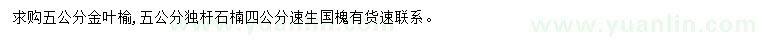 求購金葉榆、獨桿石楠、速生國槐