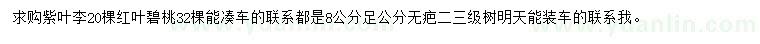 求購8公分紫葉李、紅葉碧桃