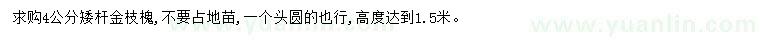 求購4公分矮桿金枝槐