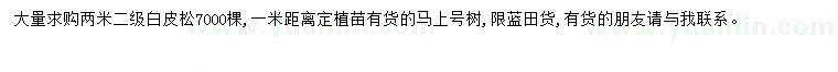 求購2米白皮松