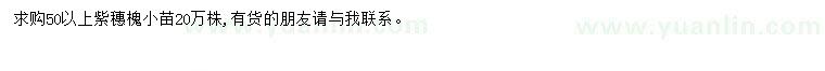 求購(gòu)50公分以上紫穗槐小苗