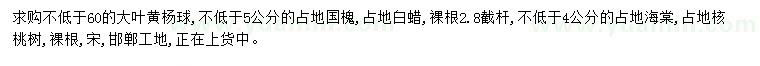 求購大葉黃楊球、國槐、白蠟等