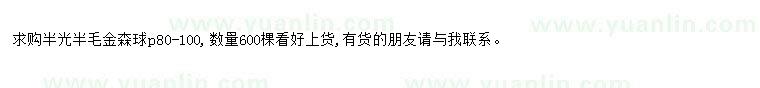 求購求購半光半毛金森球p80-100
