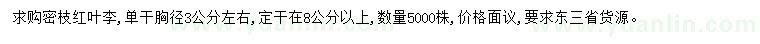 求購胸徑3公分左右紅葉李