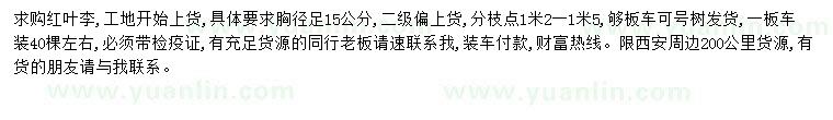 求購紅葉李