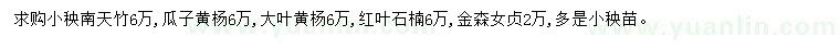 求購(gòu)南天竹、瓜子黃楊、大葉黃楊等