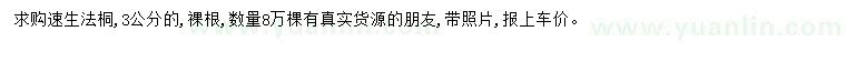 求購3公分速生法桐