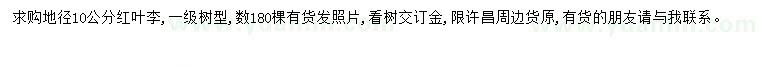 求購地徑10公分紅葉李