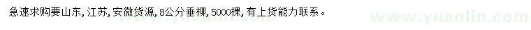 求購8公分垂柳