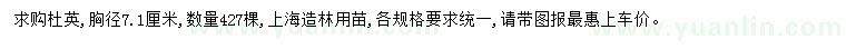 求購胸徑7.1公分杜英