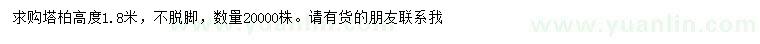 求購高1.8米塔柏
