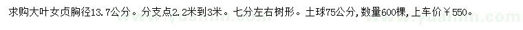 求購(gòu)胸徑13.7公分大葉女貞