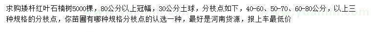 求購冠幅80公分以上紅葉石楠