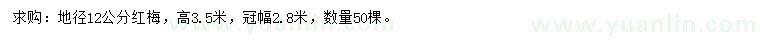 求購(gòu)地徑12公分紅梅