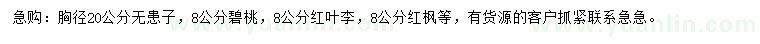 求購無患子、碧桃、紅葉李等
