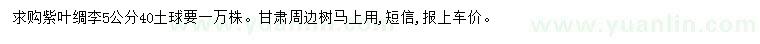 求購(gòu)5公分紫葉稠李