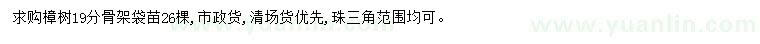 求購19公分樟樹