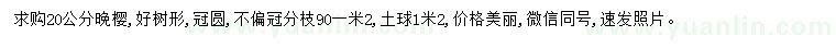 求購(gòu)20公分晚櫻