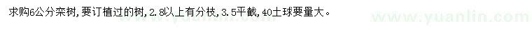 求購6公分欒樹