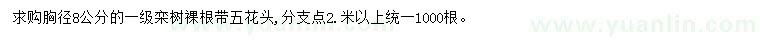 求購(gòu)胸徑8公分欒樹