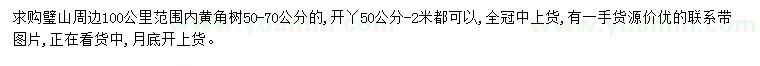 求購50-70公分黃角樹