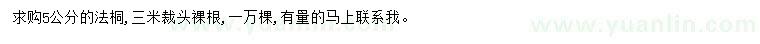 求購5公分法桐