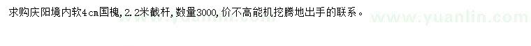 求購4公分國槐
