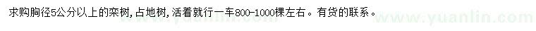 求購胸徑5公分以上欒樹