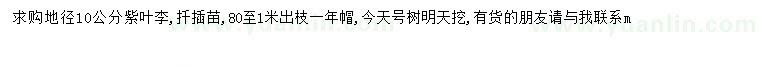 求購地徑10公分紫葉李