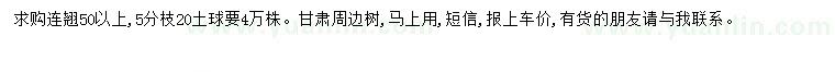 求購50公分以上連翹