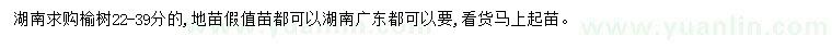 求購22-39公分榆樹