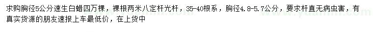 求購胸徑4.8-5.7公分速生白蠟