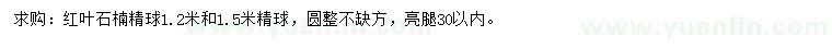 求購1.2、1.5米紅葉石楠球