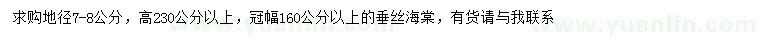 求購垂絲海棠