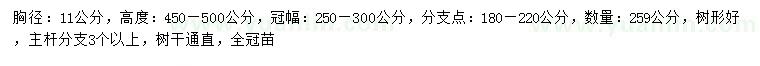 求購櫸樹