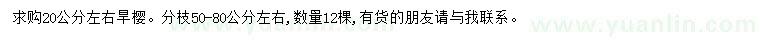 求購20公分左右早櫻