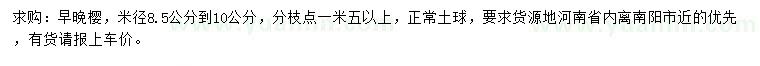 求購(gòu)米徑8.5-10公分早櫻、晚櫻