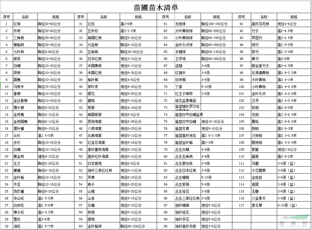 胸徑30-60公分大樸樹北京大苗圃基地購樹木市排價